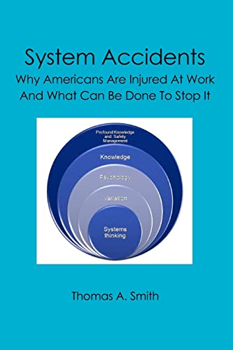 9781419673061: System Accidents: Why Americans Are Injured At Work And What Can Be Done To Stop It