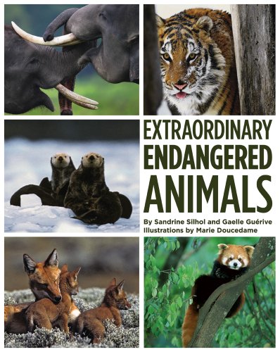 Imagen de archivo de Extraordinary Endangered Animals a la venta por Better World Books