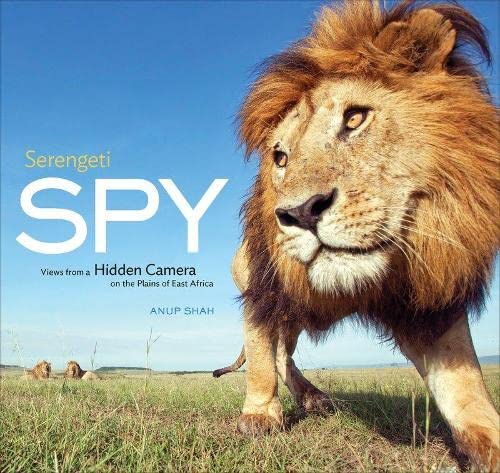 9781419702785: Serengeti Spy: Views from a Hidden Camera on the Plains of East Africa