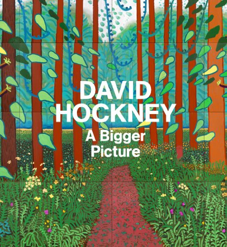 9781419702808: David Hockney: A Bigger Picture