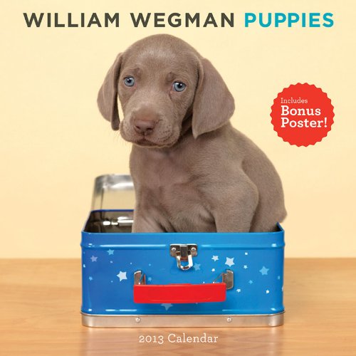 9781419703119: William Wegman Puppies 2013 Wall Calendar