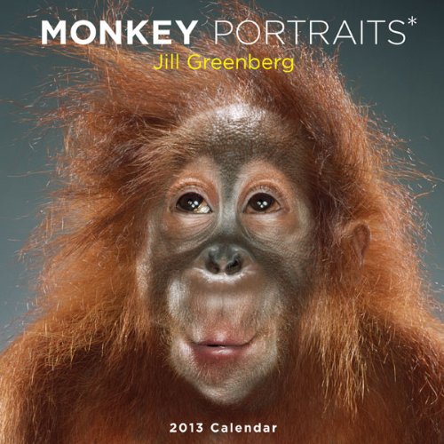 9781419703461: Monkey Portraits 2013 Wall Calendar