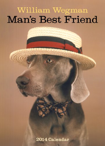 9781419707421: William Wegman Man's Best Friend 2014 Calendar