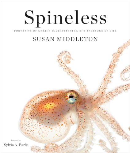 Spineless: Portraits of Marine Invertebrates, the Backbone of Life