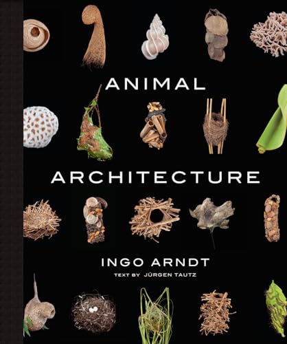 9781419711657: Animal Architecture