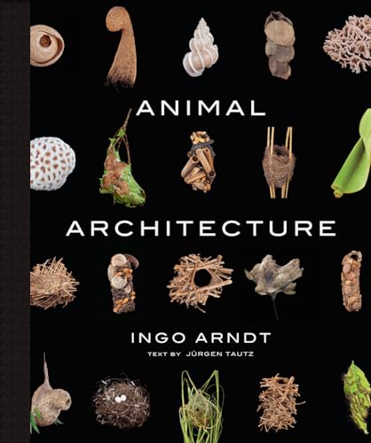 Imagen de archivo de Animal Architecture a la venta por BooksRun