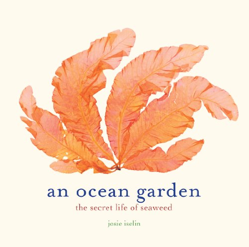 Beispielbild fr An Ocean Garden: The Secret Life of Seaweed zum Verkauf von ThriftBooks-Atlanta