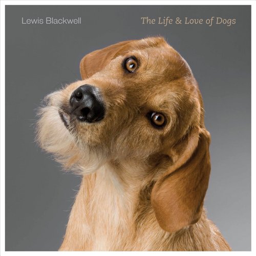 9781419713934: The Life and Love of Dogs