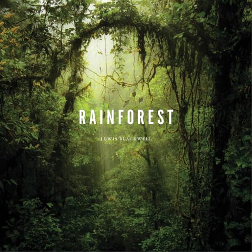 Imagen de archivo de Rainforest a la venta por HPB-Red