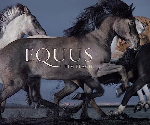 Beispielbild fr Equus (Mini): Tim Flach (MIni edition) zum Verkauf von WorldofBooks