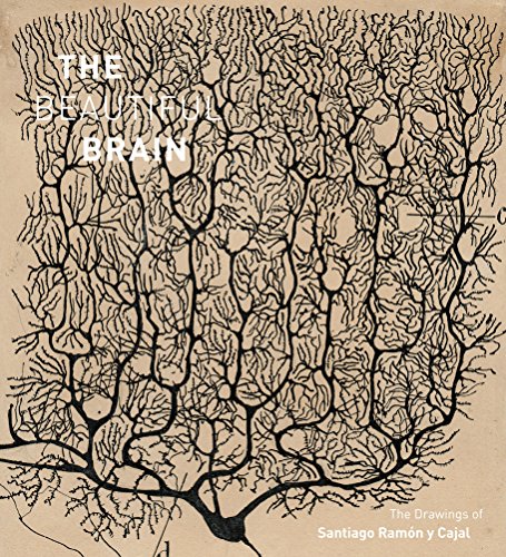 Beispielbild fr The Beautiful Brain: The Drawings of Ramon y Cajal zum Verkauf von Monster Bookshop