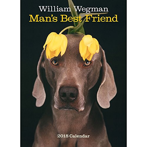 Stock image for William Wegman Man's Best Friend 2018 Wall Calendar for sale by Save With Sam