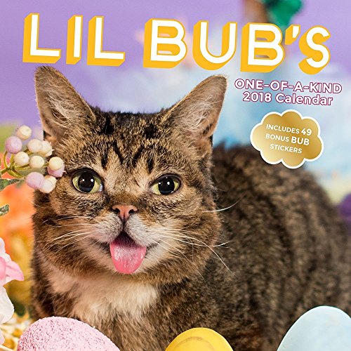 9781419725241: Lil Bub 2018 Wall Calendar