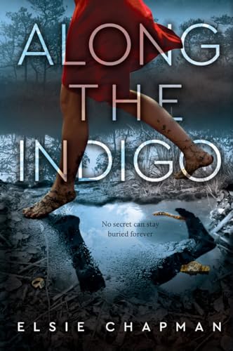 Stock image for Along the Indigo for sale by SecondSale