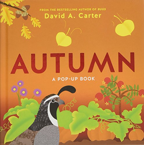 Stock image for Autumn: A Pop-Up Book (Seasons Pop-up) for sale by Goodwill Southern California