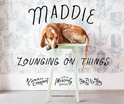 Stock image for Maddie Lounging On Things: A Complex Experiment Involving Canine Sleep Patterns for sale by SecondSale
