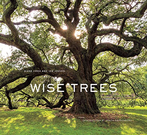 Stock image for Wise Trees for sale by Magers and Quinn Booksellers
