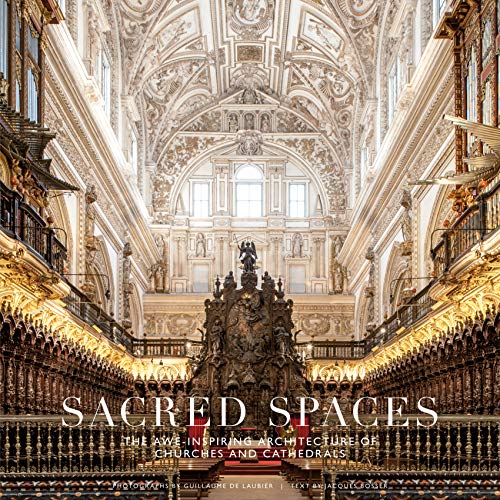 Beispielbild fr Sacred Spaces: The Awe-Inspiring Architecture of Churches and Cathedrals zum Verkauf von Book Stall of Rockford, Inc.