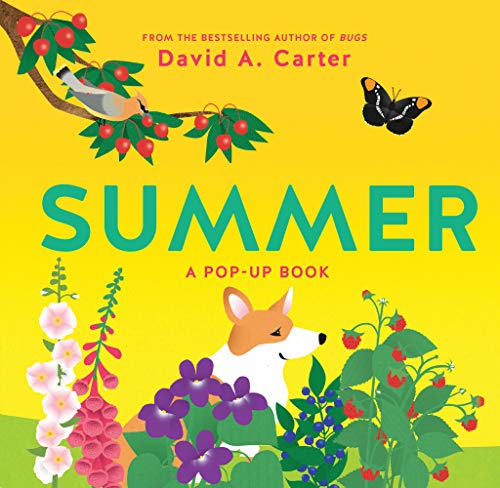 9781419728327: Summer: A Pop-Up Book (Seasons Pop-up Books)
