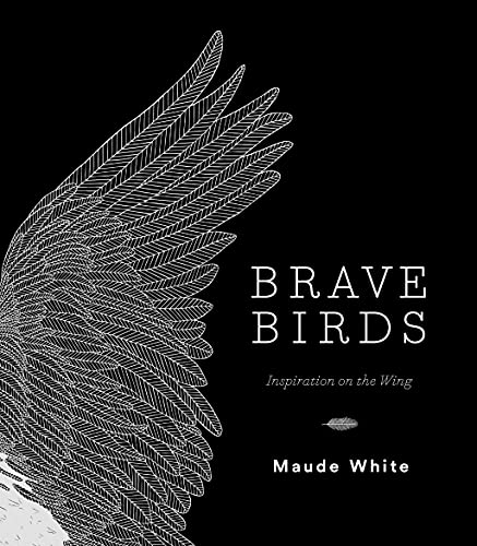 Stock image for Brave Birds: Inspiration on the Wing for sale by SecondSale