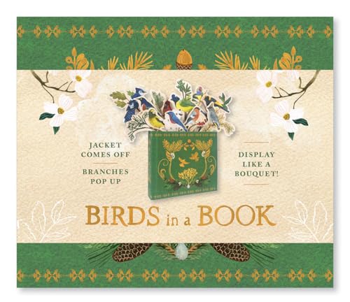 Imagen de archivo de Birds in a Book (A Bouquet in a Book): Jacket Comes Off. Branches Pop Up. Display Like a Bouquet! a la venta por Blackwell's