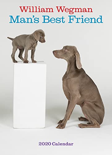 Stock image for William Wegman Man's Best Friend 2020 Wall Calendar for sale by Books Unplugged