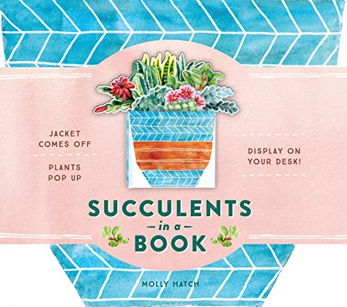 9781419737510: Succulents in a Book (UpLifting Editions): Jacket Comes Off. Plants Pop Up. Display on Your Desk! (Bouquet in a Book)