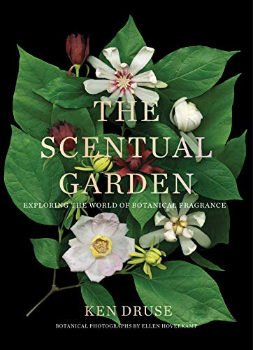 Beispielbild fr The Scentual Garden : Exploring the World of Botanical Fragrance zum Verkauf von Better World Books