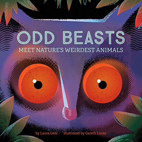 Imagen de archivo de Odd Beasts: Meet Nature's Weirdest Animals a la venta por BookOutlet