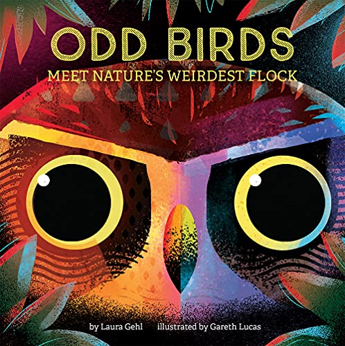 Imagen de archivo de Odd Birds: Meet Nature's Weirdest Flock a la venta por BookOutlet