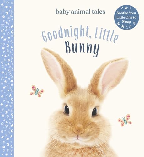 Stock image for Goodnight, Little Bunny for sale by Revaluation Books