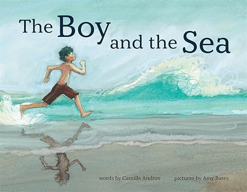 Stock image for The Boy and the Sea for sale by Blackwell's
