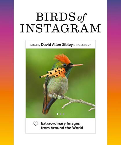 Imagen de archivo de Birds of Instagram: Extraordinary Images from Around the World a la venta por BooksRun