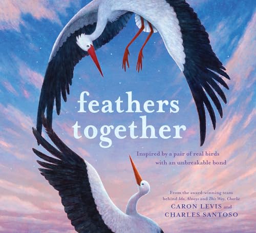 Stock image for Feathers Together: A Picture Book (Feeling Friends) for sale by GF Books, Inc.