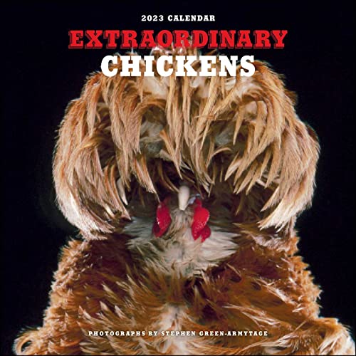 Imagen de archivo de Extraordinary Chickens 2023 Wall Calendar a la venta por GF Books, Inc.