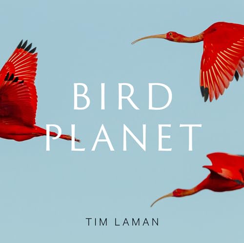 Beispielbild fr Bird Planet: A Photographic Journey zum Verkauf von BooksRun