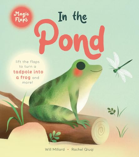Stock image for In the Pond (Magic Flaps) for sale by BookOutlet