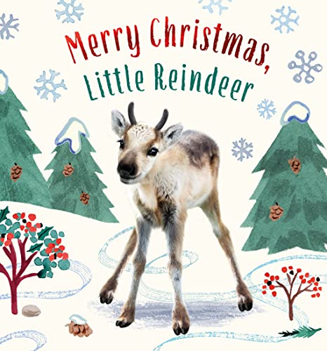 9781419769498: Merry Christmas, Little Reindeer (Baby Animal Tales)