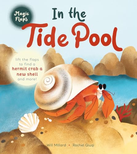 Stock image for In the Tide Pool: A Magic Flaps Book for sale by California Books