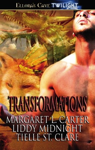 Stock image for Transformations for sale by Better World Books