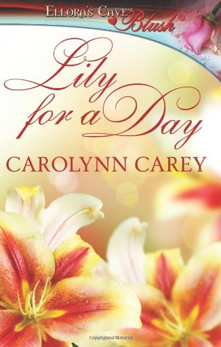 9781419966309: Lily for a Day