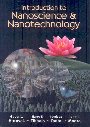Stock image for Introduction to Nanoscience and Nanotechnology for sale by Better World Books