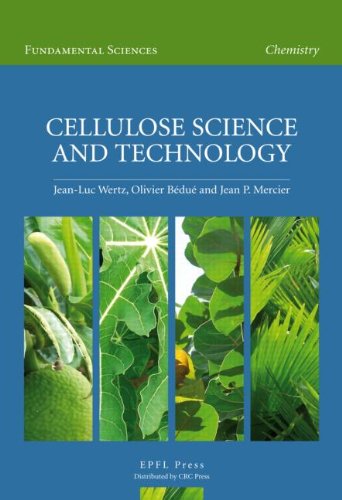 Stock image for Cellulose Science and Technology (Fundamental Sciences: Chemistry) for sale by Mispah books