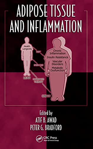 Stock image for Adipose Tissue and Inflammation: Vol 28 for sale by Revaluation Books