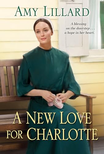 9781420149609: A New Love for Charlotte (Wells Landing, 11)