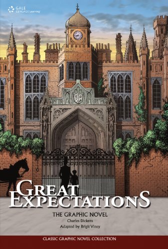 Stock image for Great Expectations: The Graphic Novel (Classic Graphic Novel Collection) for sale by Blue Vase Books