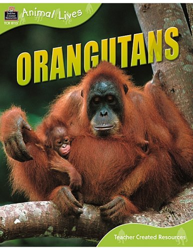 9781420681130: Animal Lives: Orangutans