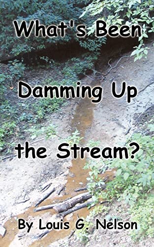 9781420817010: What's Been Damming Up the Stream?