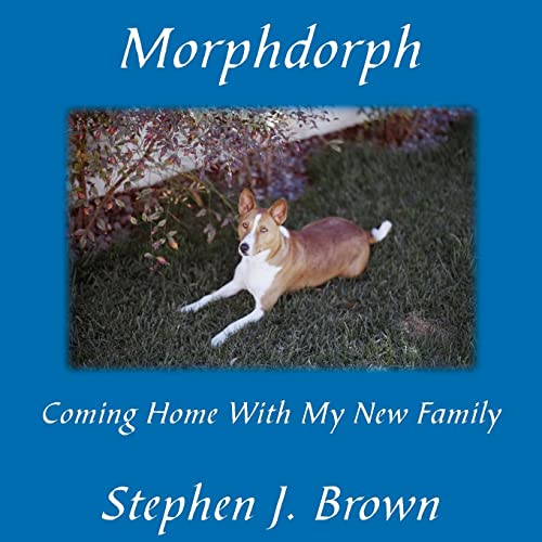 Morphdorph: Coming Home With My New Family (9781420868586) by Brown, Stephen