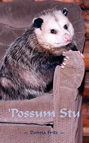 Imagen de archivo de Possum Stu a la venta por Chiron Media